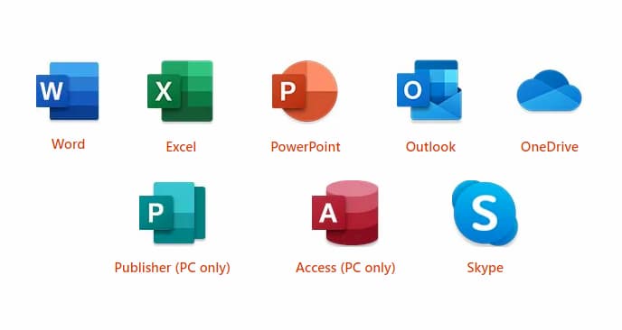Basic Digital Skills - Microsoft Office Skills