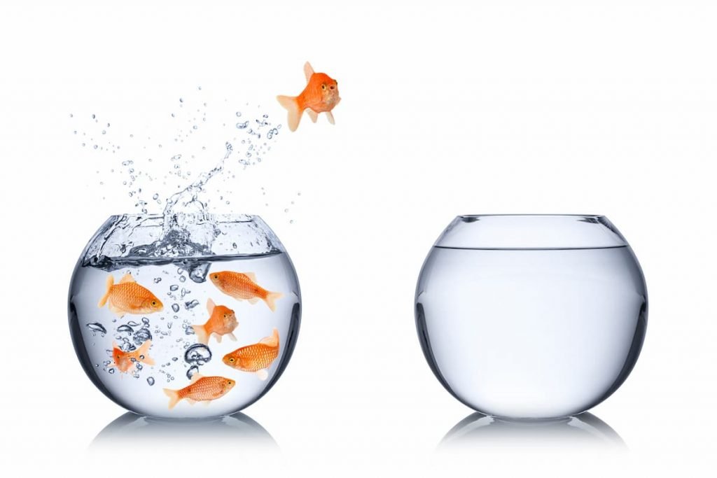 Kognifi Marketing Courses