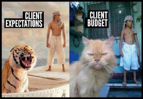 Life of Pi Meme on Expectations to Budget