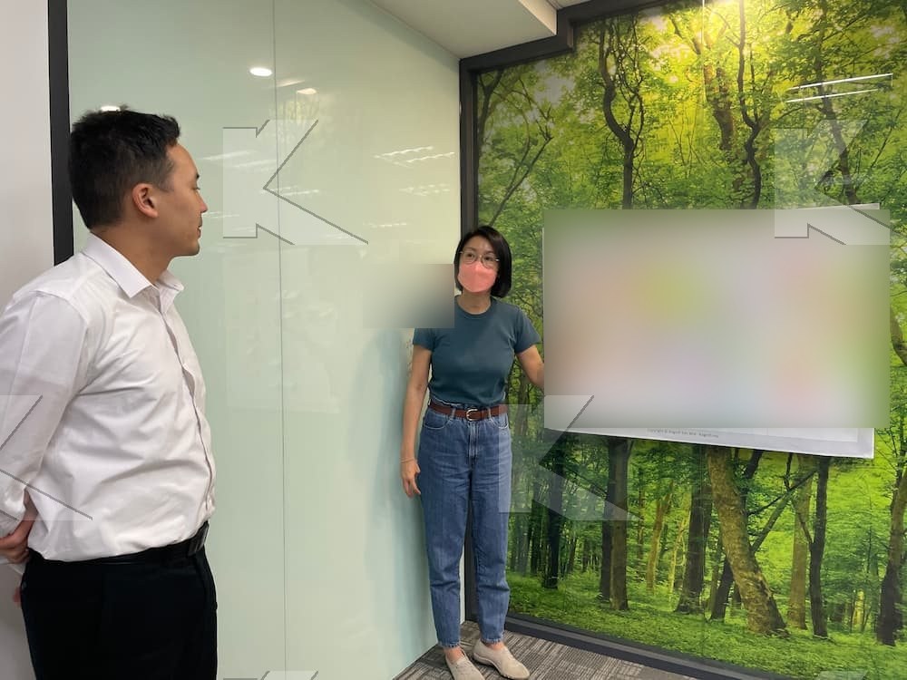 项目提案 SOW 画布活动